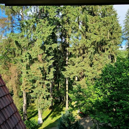Pensiunea Happy Inn Ватра-Дорней Экстерьер фото